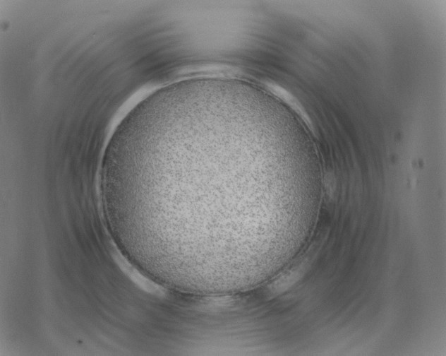 X0000074231482200609151634