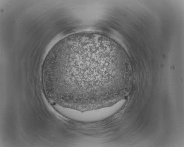 X0000074231483200609151634