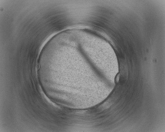 X0000074231484200609151634