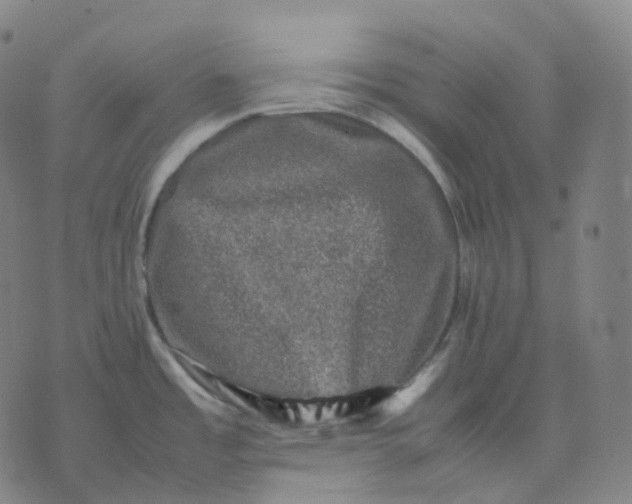 X0000074231485200609151634