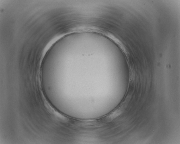 X0000074231486200609151634