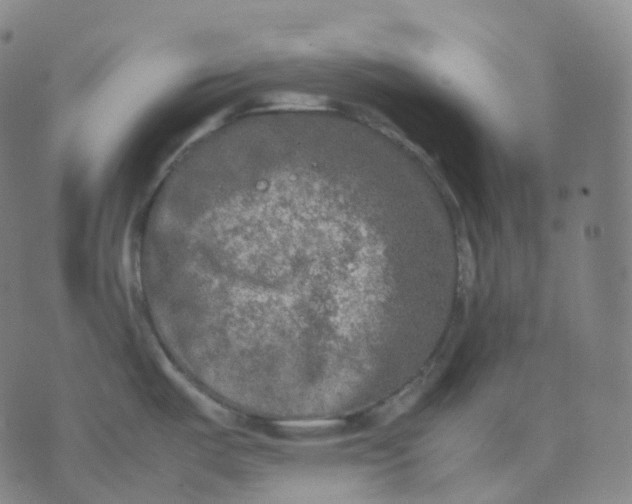 X0000074231487200609151634