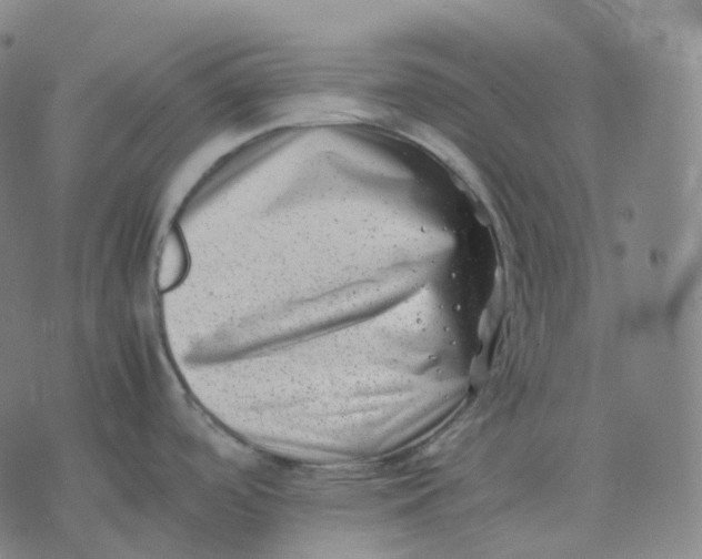 X0000074231488200609151634