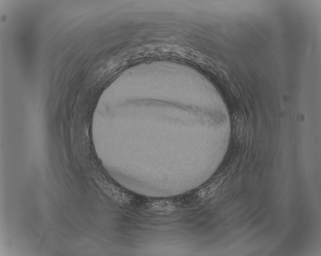 X0000074231489200609151633