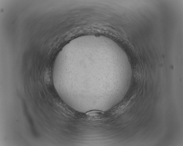 X0000074231490200609151633