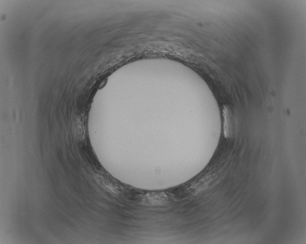 X0000074231491200609151633