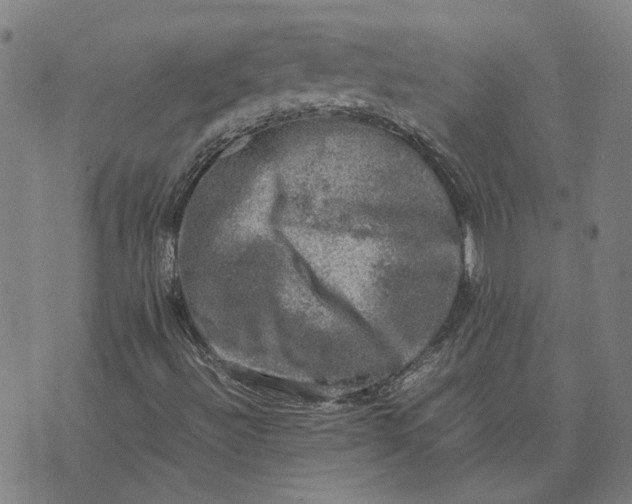 X0000074231492200609151633