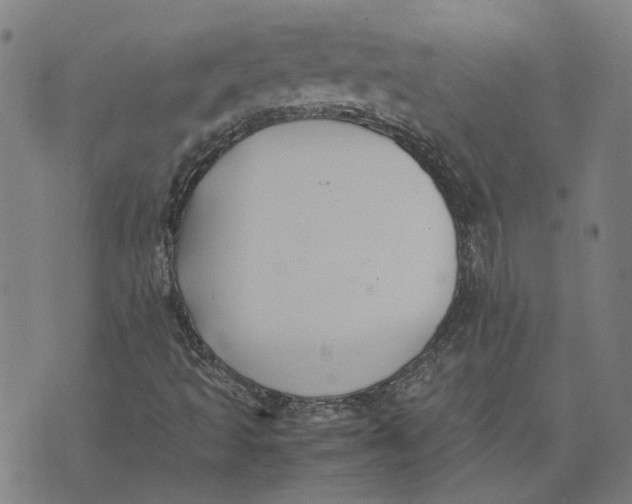 X0000074231493200609151633