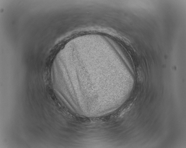 X0000074231494200609151633