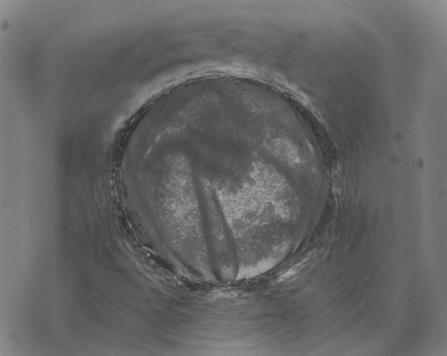 X0000074231496200609151633