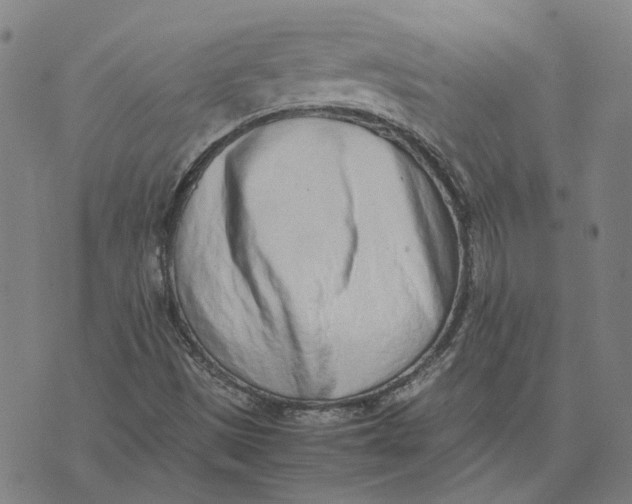 X0000074231497200609151633