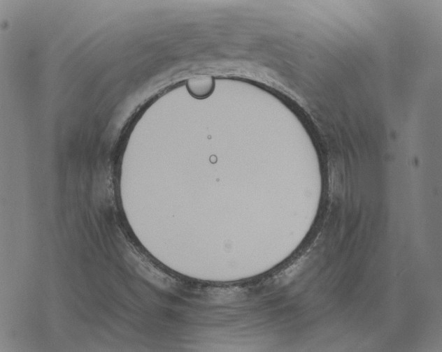 X0000074231498200609151633