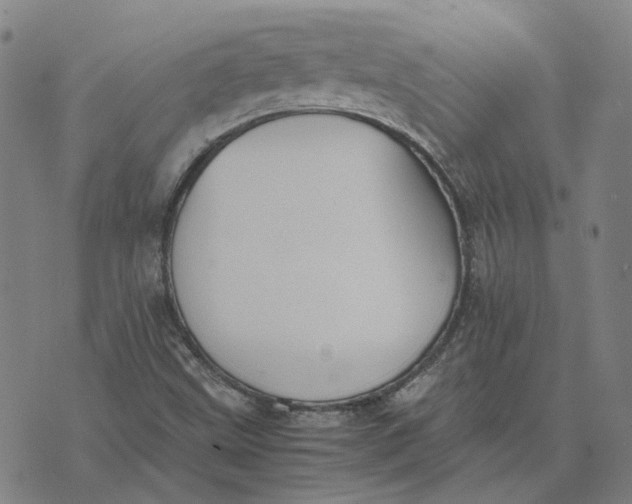 X0000074231499200609151633