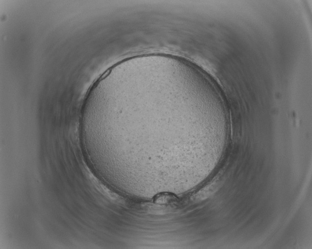 X0000074231500200609151633