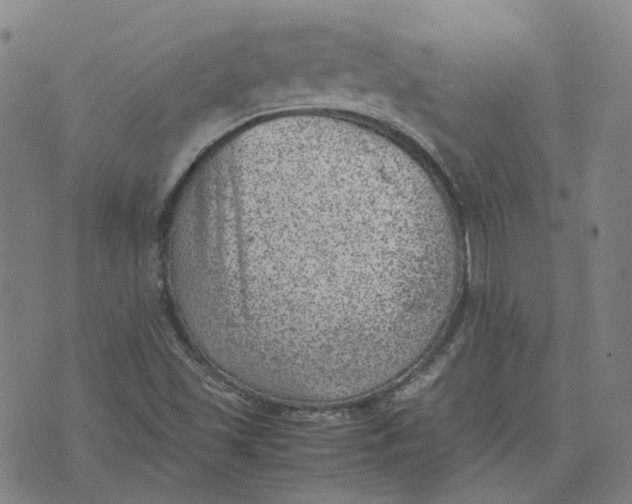 X0000074231501200609151633