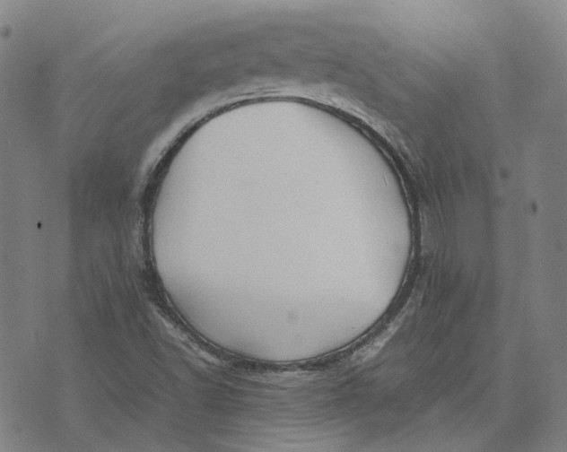 X0000074231502200609151633