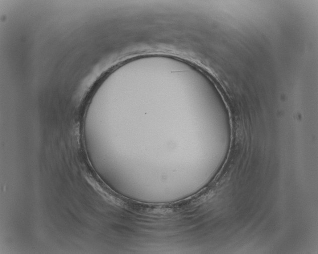 X0000074231503200609151633