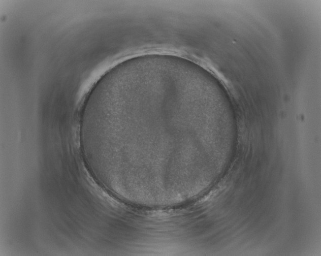 X0000074231504200609151633