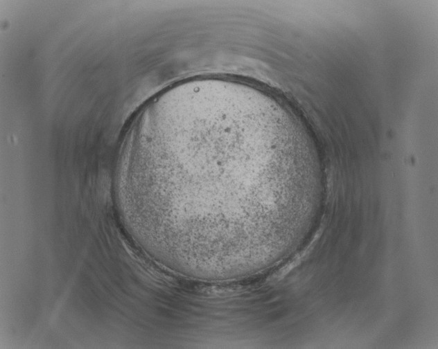 X0000074231505200609151633