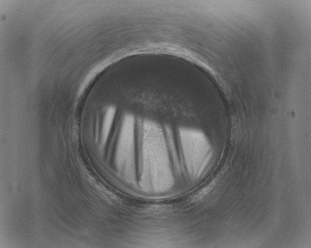 X0000074231506200609151633