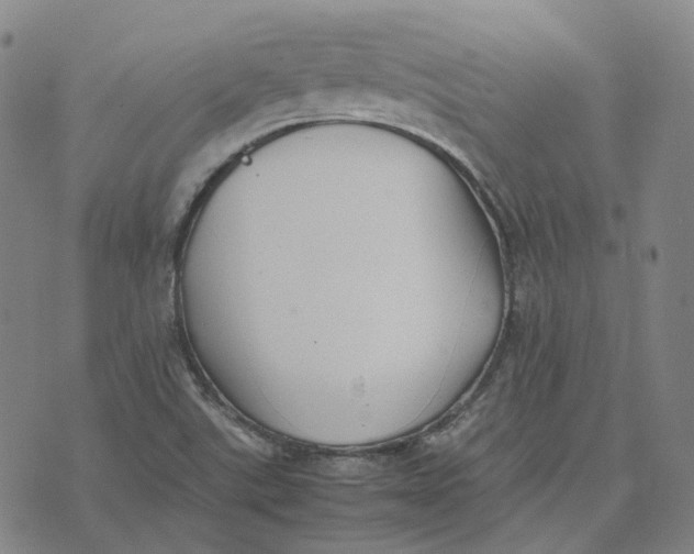 X0000074231507200609151633