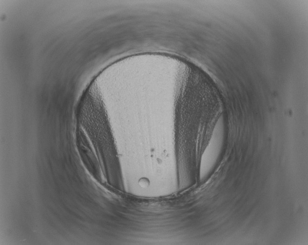 X0000074231508200609151633