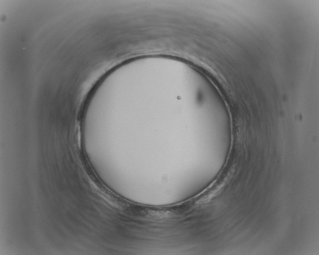 X0000074231509200609151633