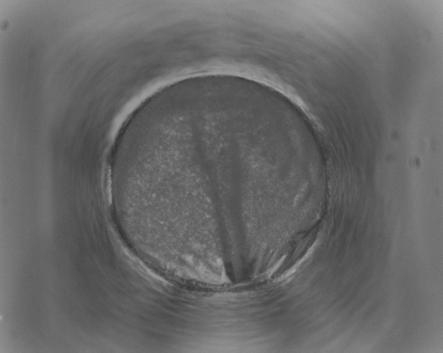 X0000074231510200609151633