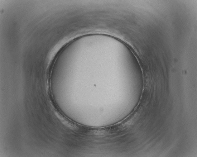 X0000074231511200609151633