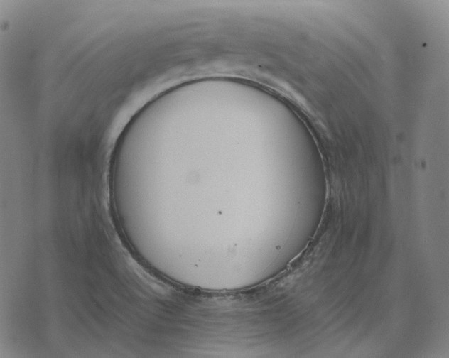 X0000074231512200609151633