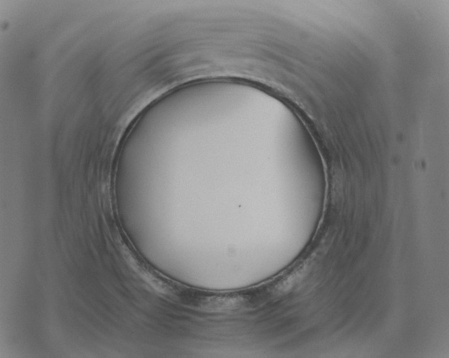 X0000074231513200609151633