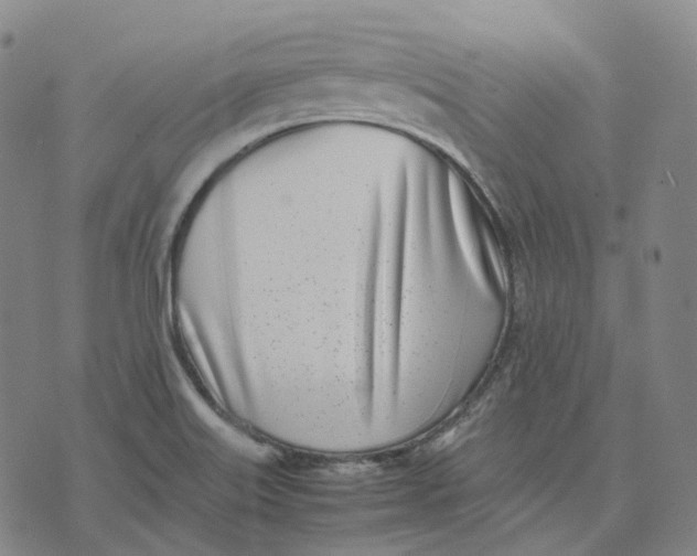 X0000074231515200609151633