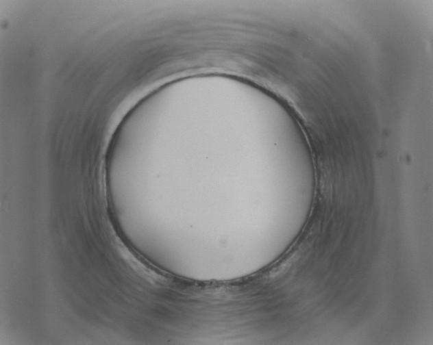 X0000074231516200609151633