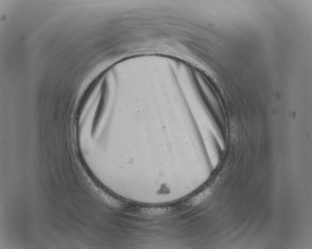 X0000074231517200609151633