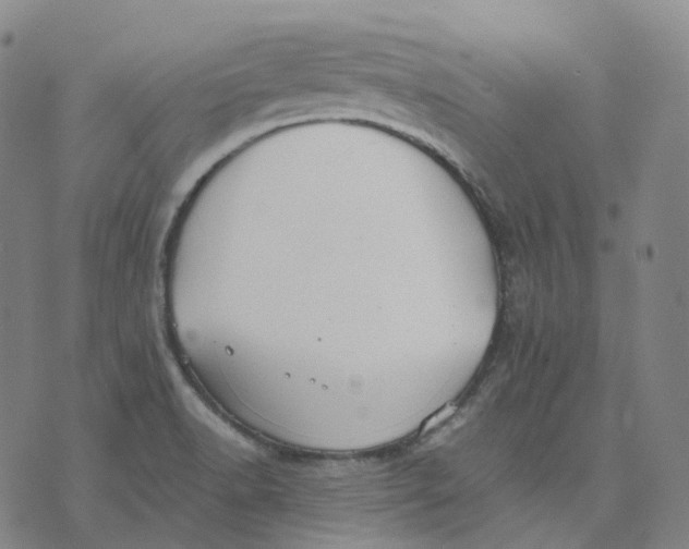 X0000074231518200609151633