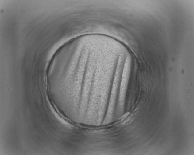 X0000074231519200609151633