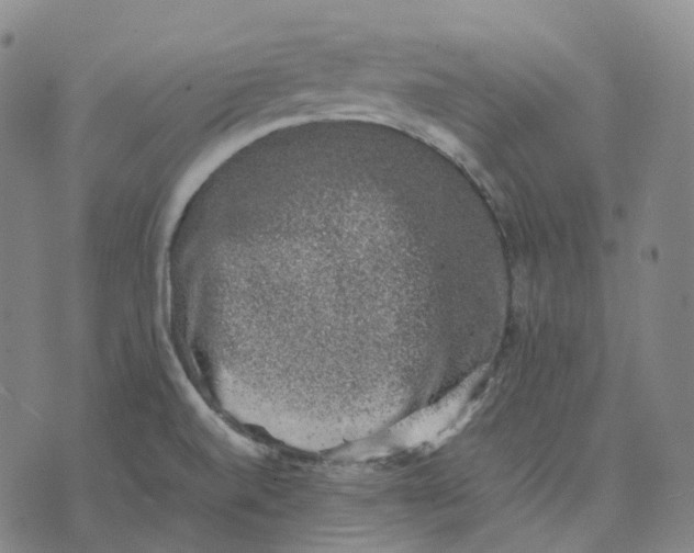 X0000074231520200609151633