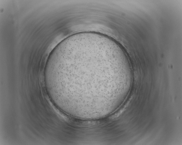 X0000074231521200609151633