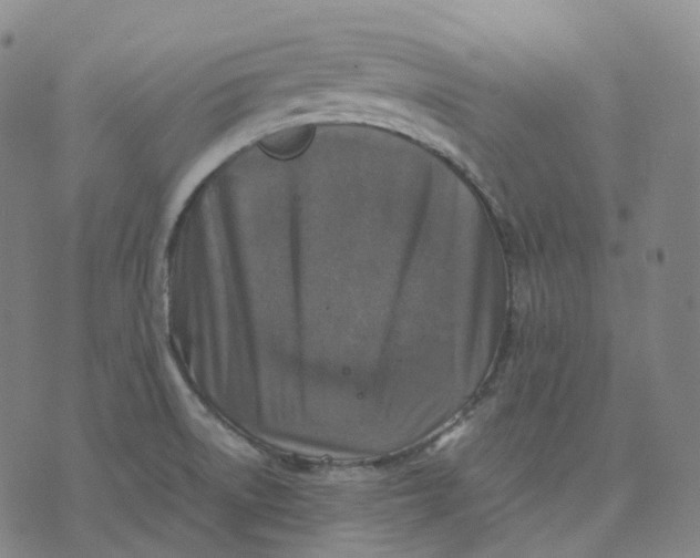 X0000074231522200609151633