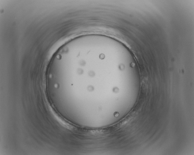 X0000074231523200609151633