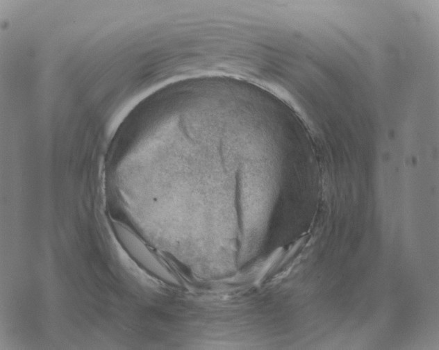 X0000074231524200609151633