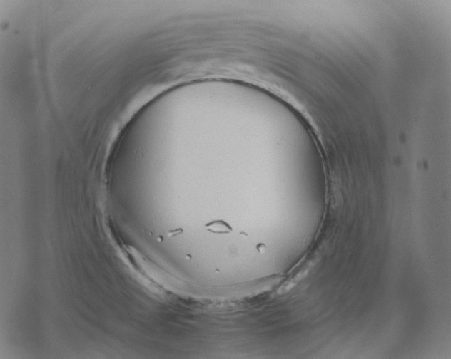 X0000074231525200609151633