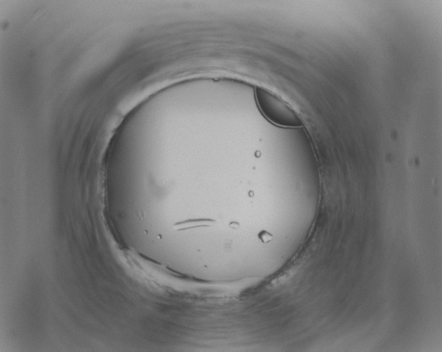 X0000074231526200609151633