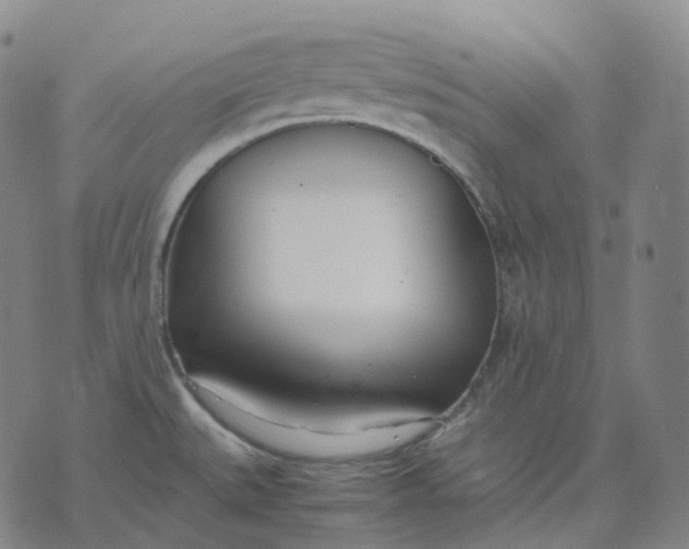 X0000074231527200609151633