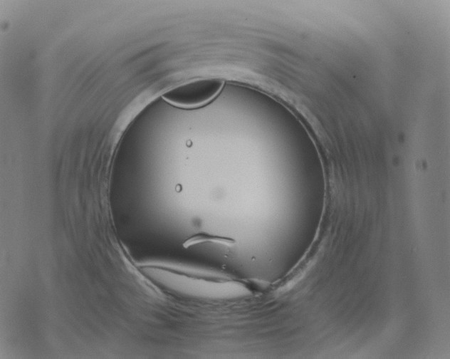 X0000074231529200609151633