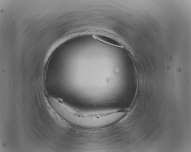 X0000074231530200609151633