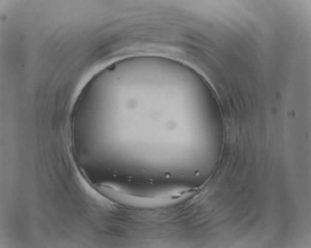 X0000074231531200609151633