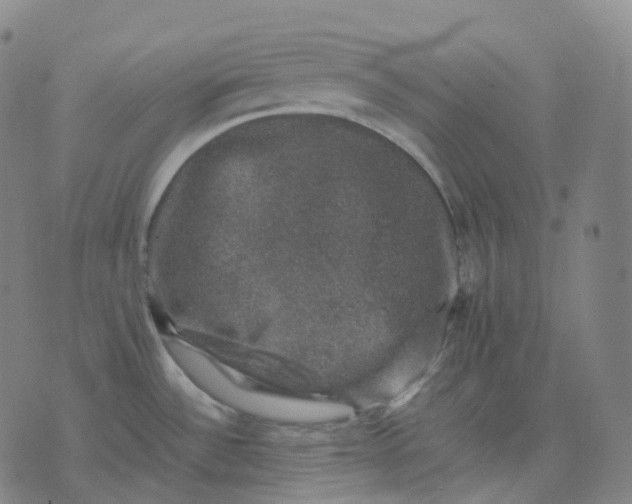 X0000074231532200609151633