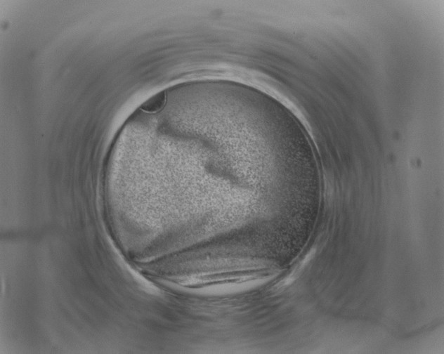 X0000074231533200609151633