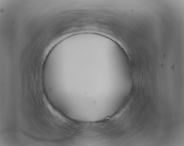 X0000074231534200609151634